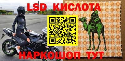 шишки Кингисепп