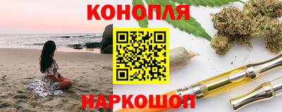 шишки Кингисепп