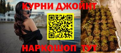 шишки Кингисепп