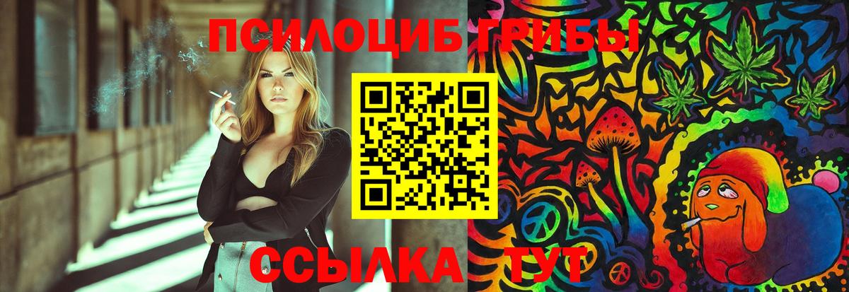Костомукша  Галлюциногенные грибы Cubensis  Вход с VPN 